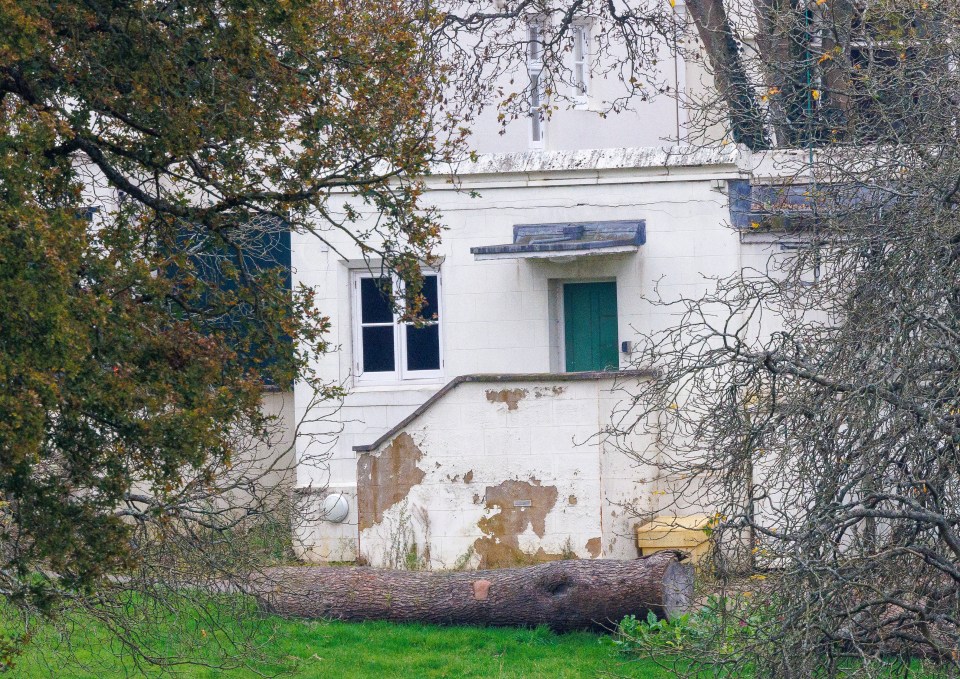 Recent pictures appear to show the mansion in a poor state- with peeling paint and black mould