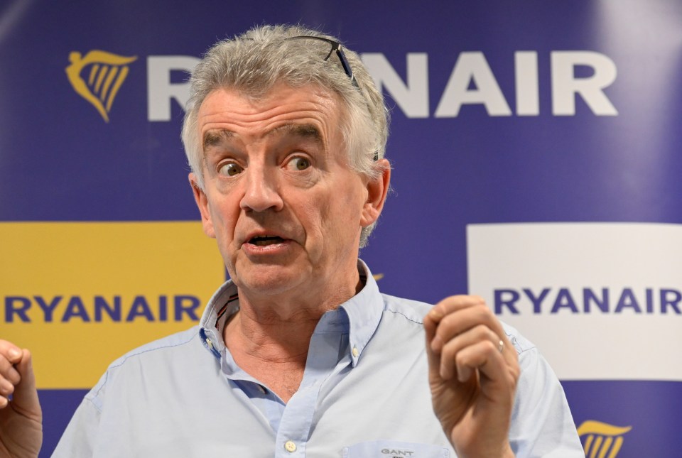 Ryanair boss Michael O'Leary has seen profits fall by 18%