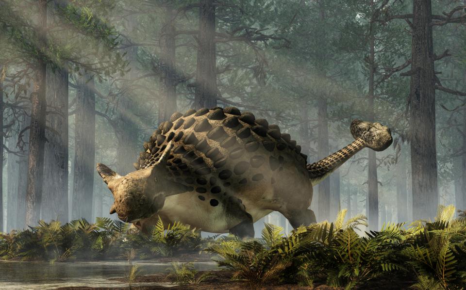 an illustration of an ankylosaurus in a forest