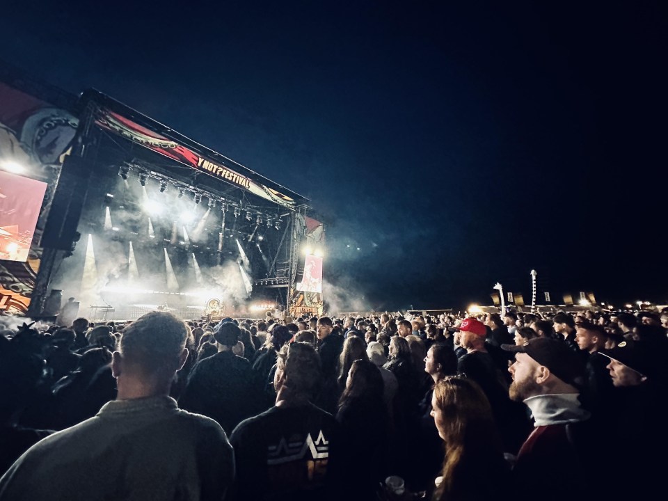 a crowd of people watching a concert at twilight festival