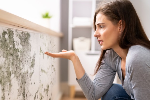 a woman is looking at a wall with mold on it