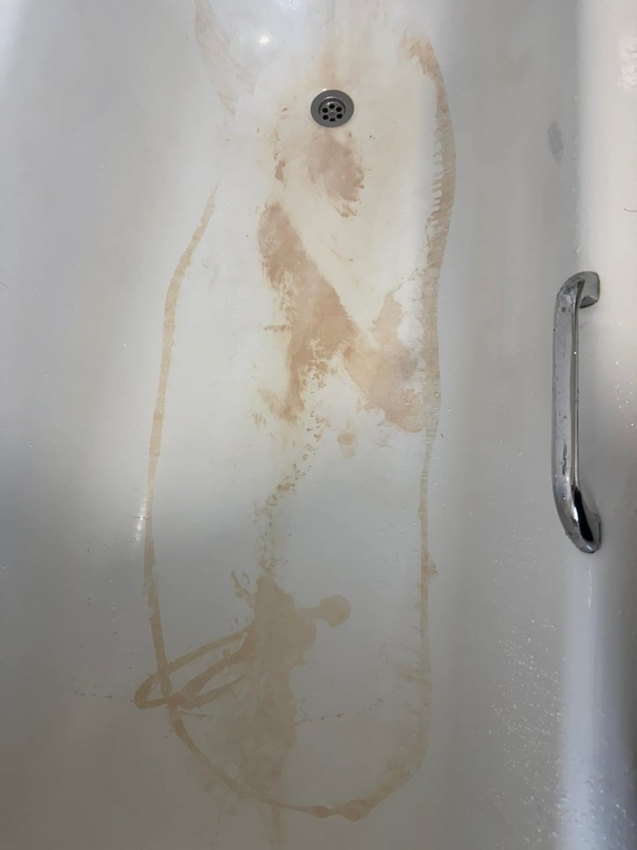 One woman took to Facebook to share a snap of her bathtub which was allegedly stained from using bleach from Tesco