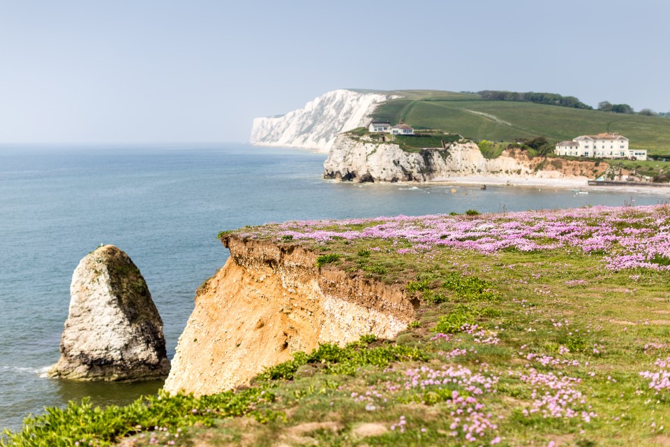 Freshwater Bay (pictured) is 'a very beautiful place with seals and wildlife', Rob says