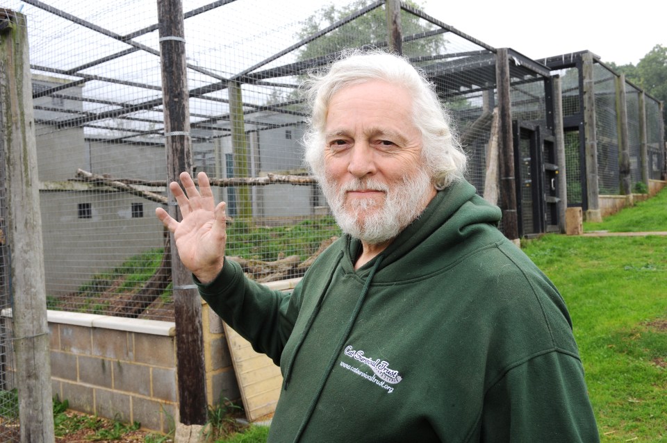 Terry Moore pictured at his cat sanctuary in Hertfordshire