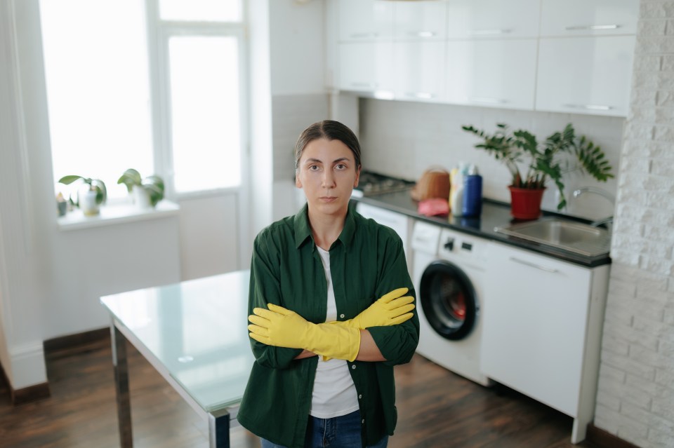 Research revealed many Brits have neglected cleaning areas in their home for over a year (stock image)