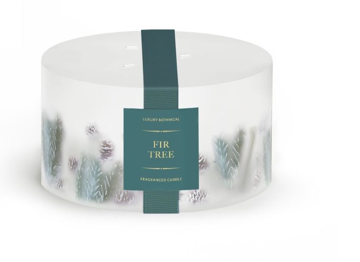 a luxury botanical fir tree fragranced candle