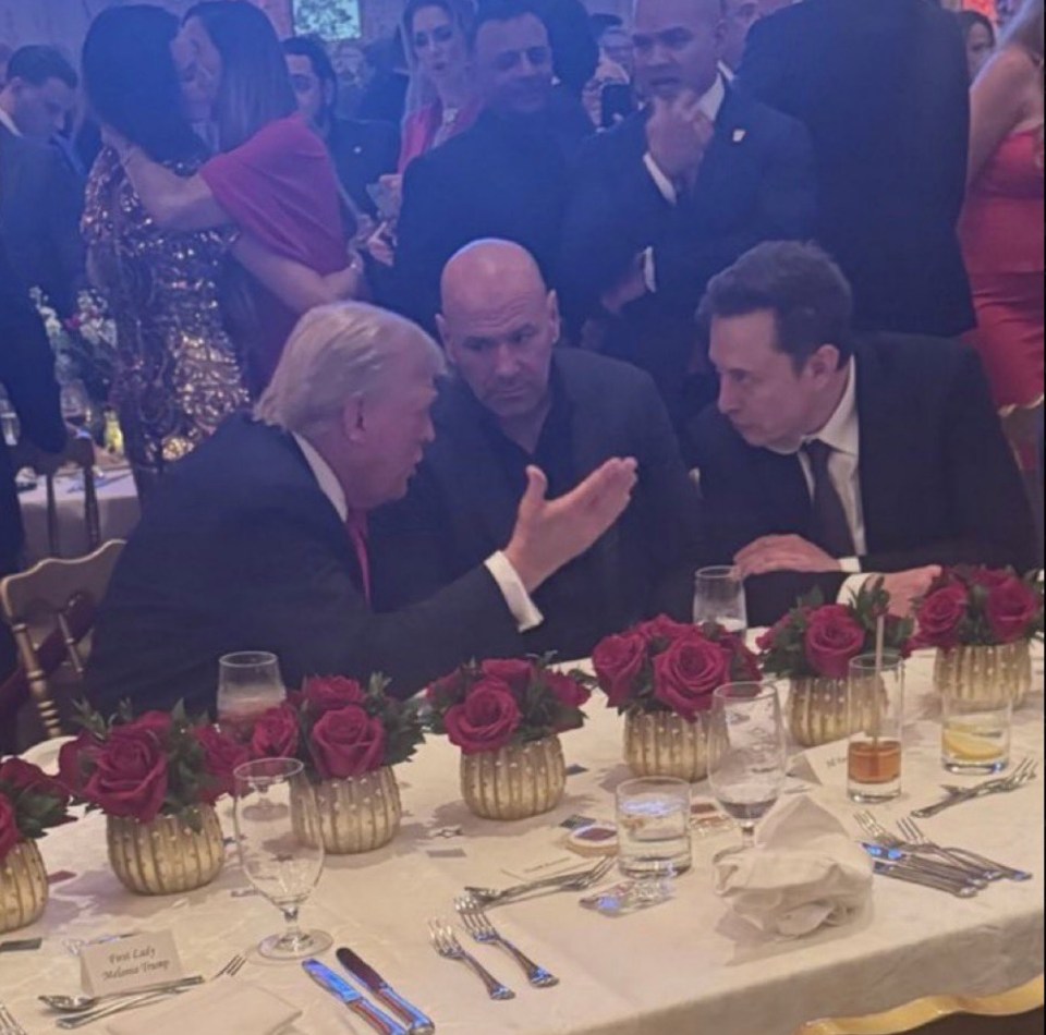 Trump talking to Dana White and Elon Musk at his election watch party