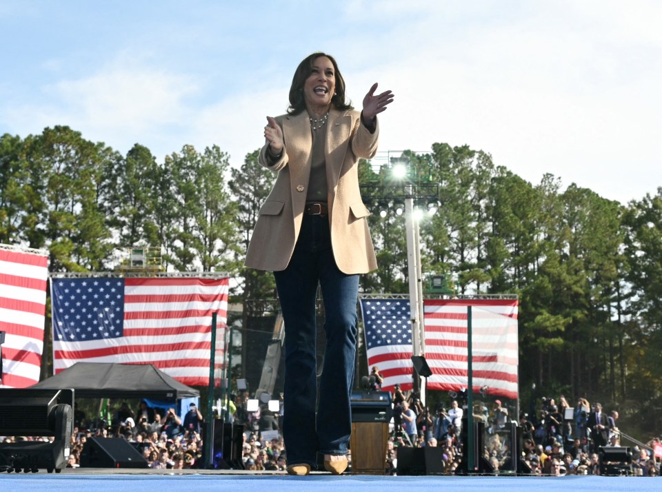 US Vice President and Democratic presidential candidate Kamala Harris greets the crowd during a campaign rally in Atlanta, Georgia