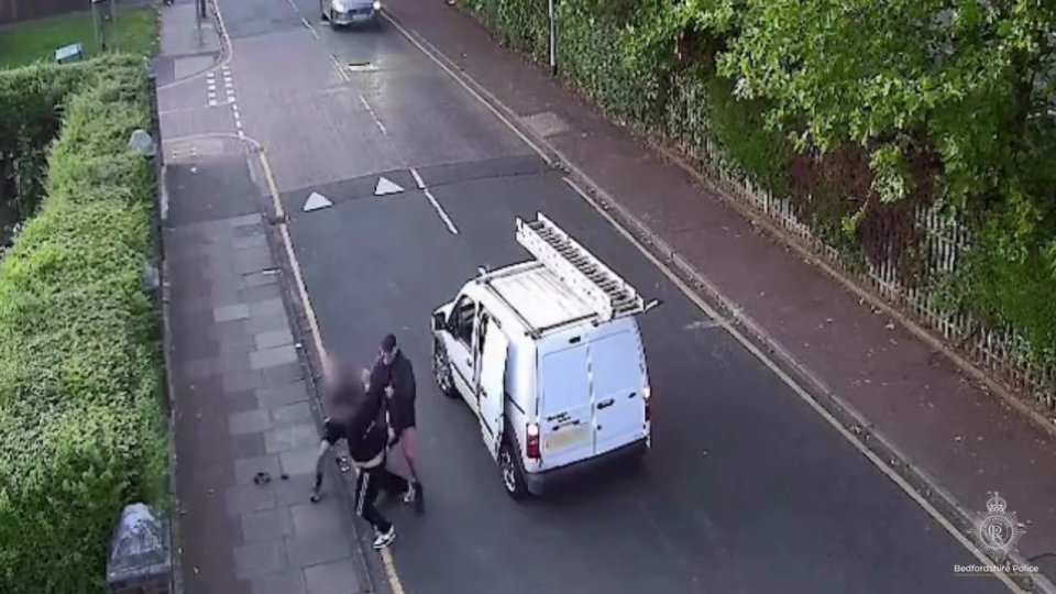 The three thugs attempted to bundle the victim into a waiting van