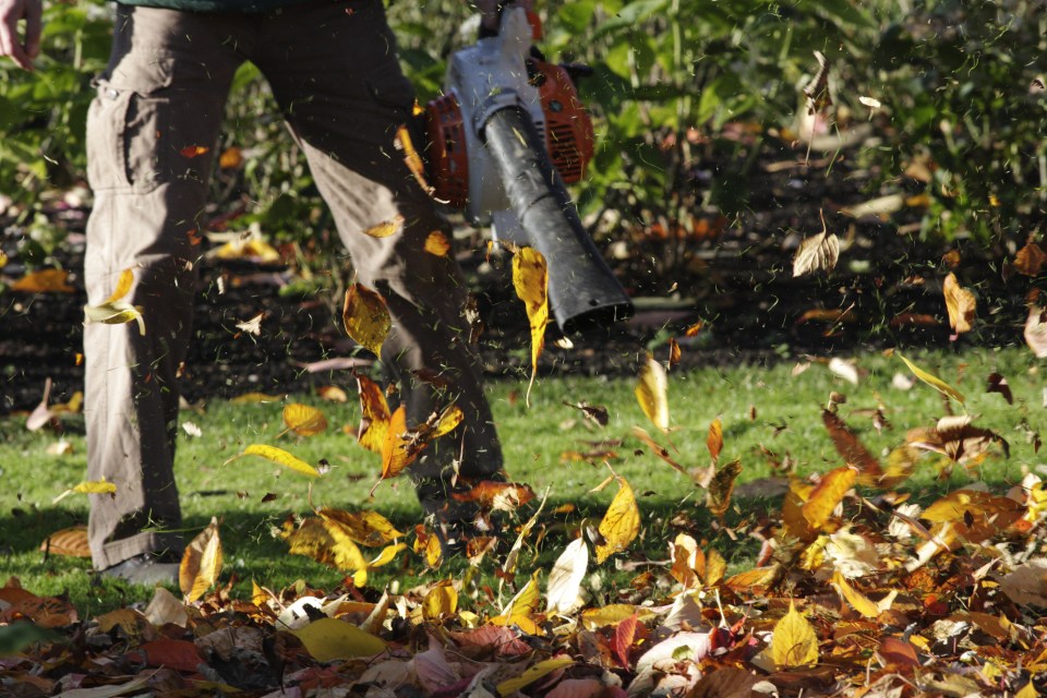 Bargain hunters are raving about a 'brilliant' leaf blower that's been slashed