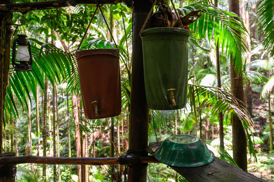 a lantern is hanging from a tree in the jungle