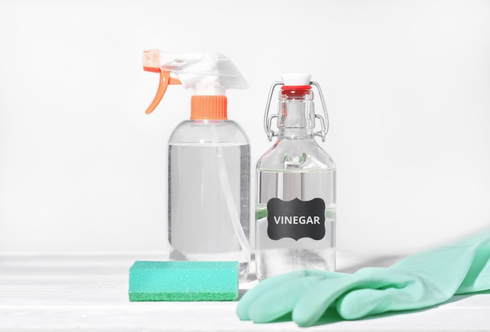 A mum has suggested using white vinegar rather than bleach