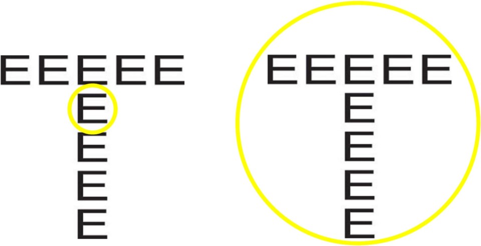 Volunteers were asked if they noticed the large letter or smaller letters first, to determine psychopathy