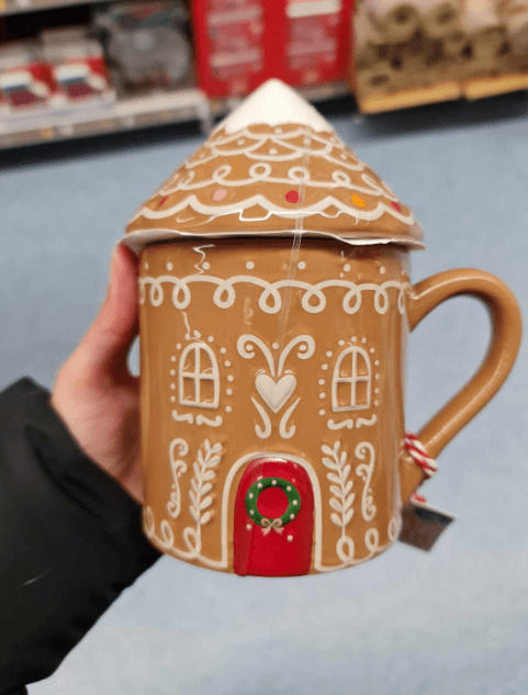 The shopper snapped up a small gingerbread house that lights up for £2.50