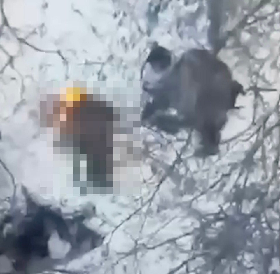 Blurred image of a body in the snow.