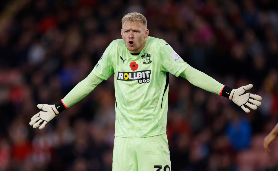 Southampton's goalkeeper reacts during a soccer match.