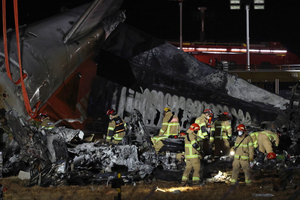 Firefighters at the scene of a plane crash.