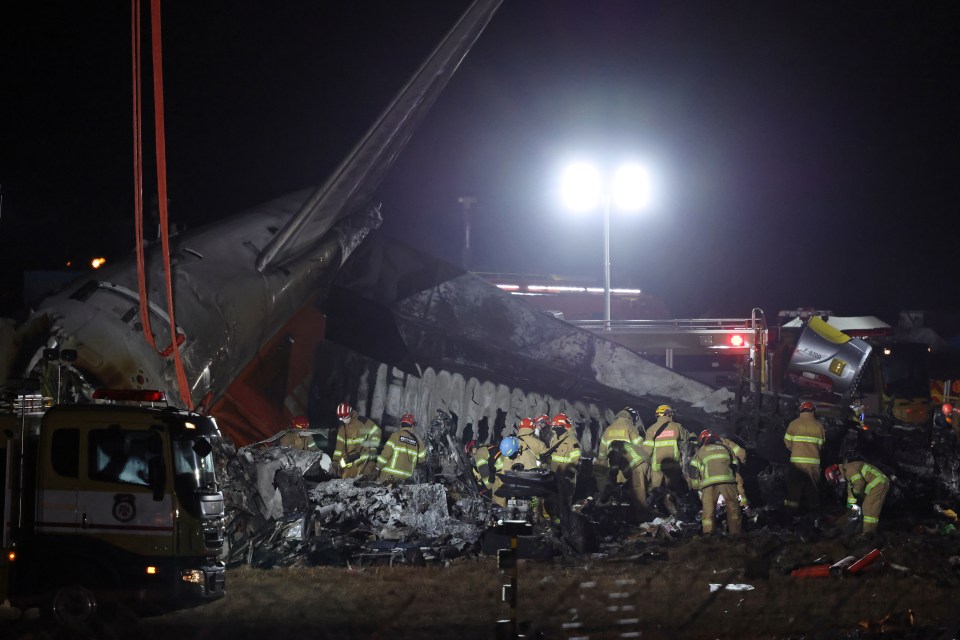 Firefighters at the scene of a plane crash.