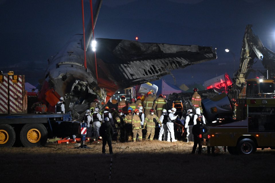 Rescue personnel at the scene of a plane crash.