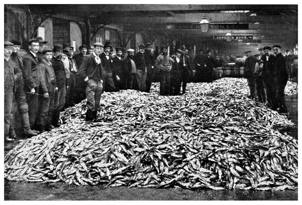 Grimsby previously relied on the fishing industry