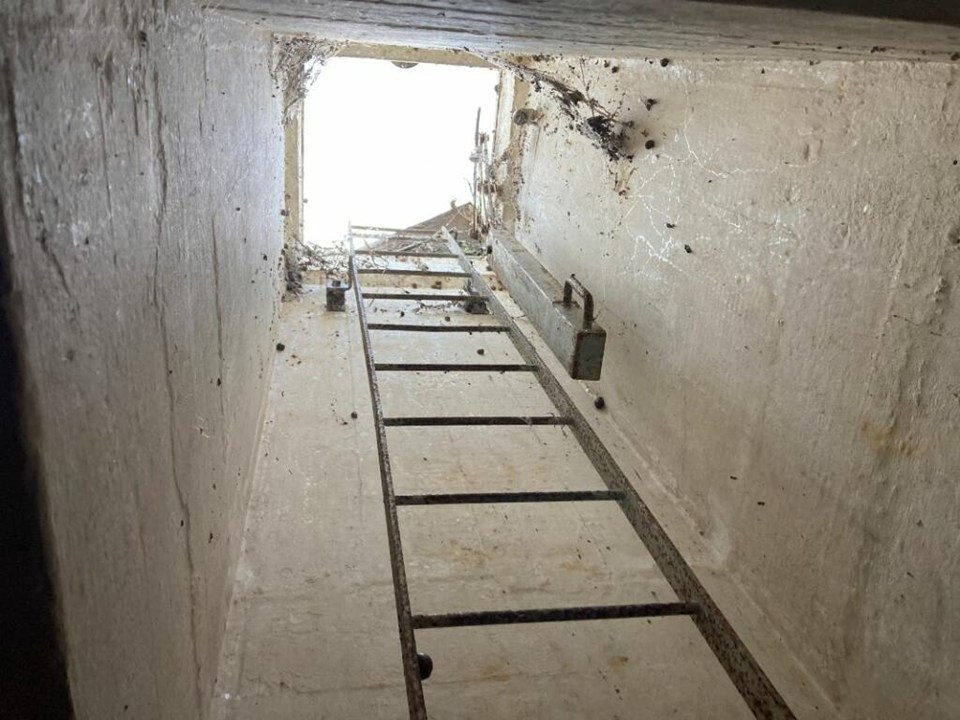 Ladder leading down into a dilapidated 1950s underground bunker.