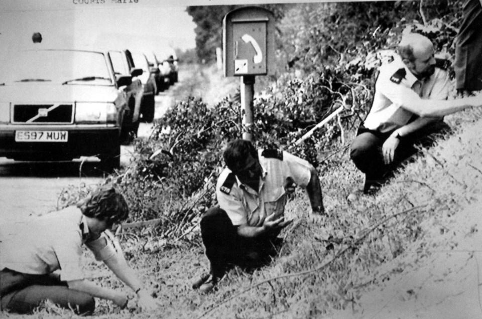 Police combing an embankment on the side of the M50 in the search for Marie