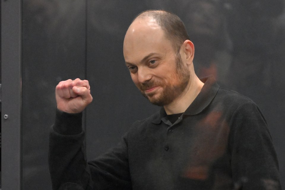 Vladimir Kara-Murza in court.