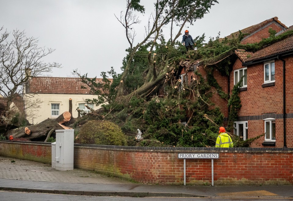 Damage left behind in the wake of Storm Darragh