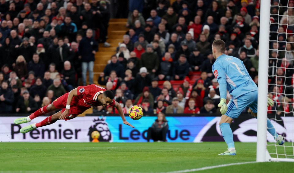 Cody Gakpo launched himself to head Liverpool's first leveller