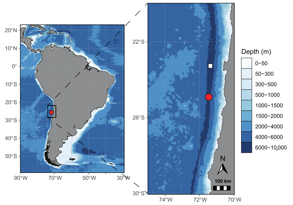 The Atacama Trench, off the coast of Chile, is one of the deepest undersea canyon in the world and stretches 3,666miles (5,900km) in length