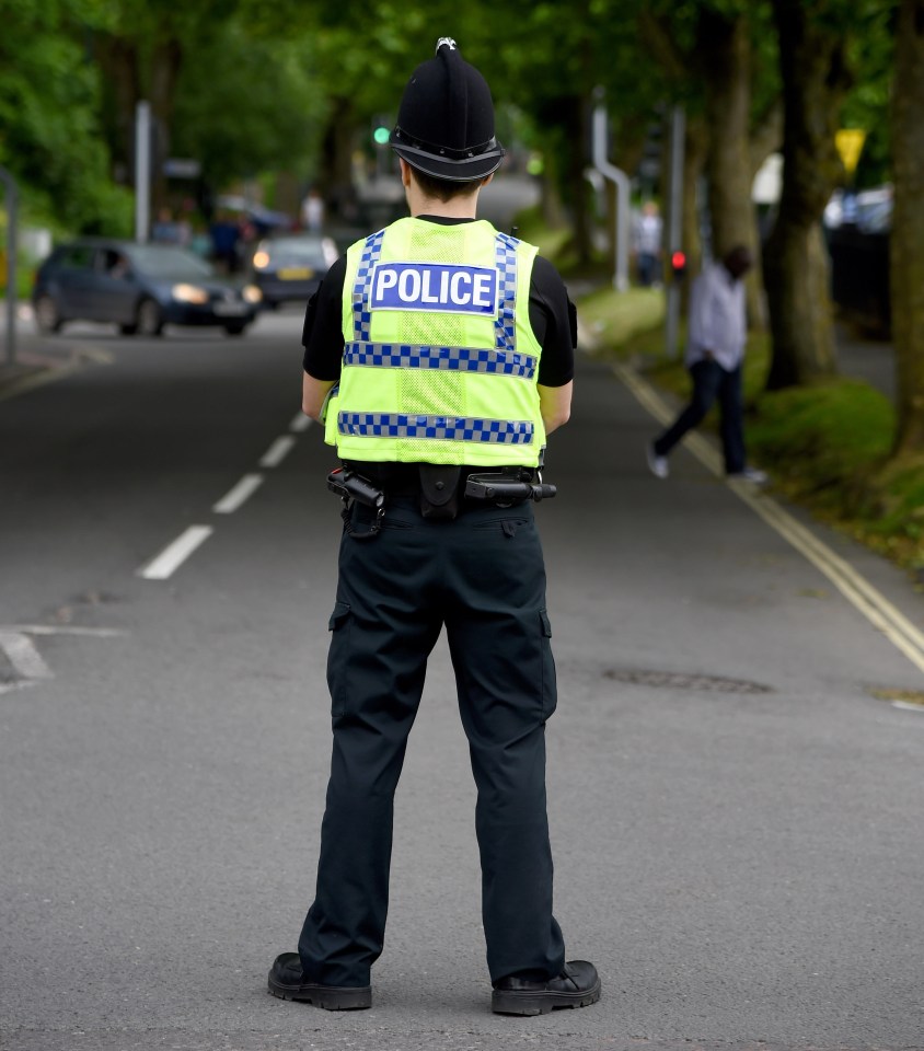 Police officer seen from behind on a road.