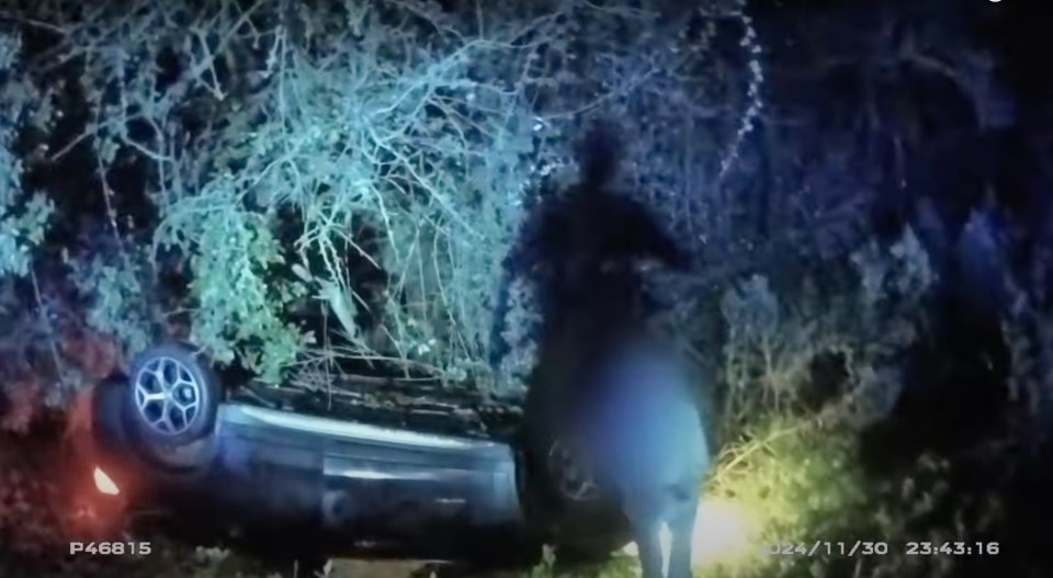 A drink driver approaches police after her car overturned in a ditch.