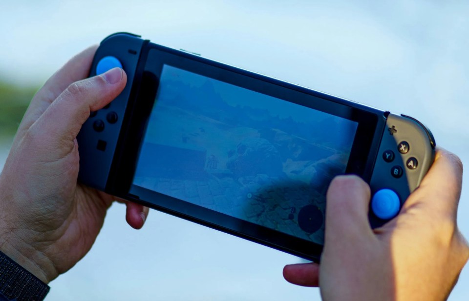 The Switch Lite is the version we recommend for those who want to play on the go