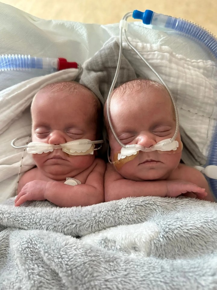 The surviving babies in hospital on February 16