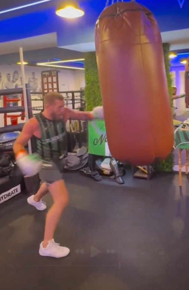 The Irishman shared footage of himself hitting the heavy bag to his Instagram story