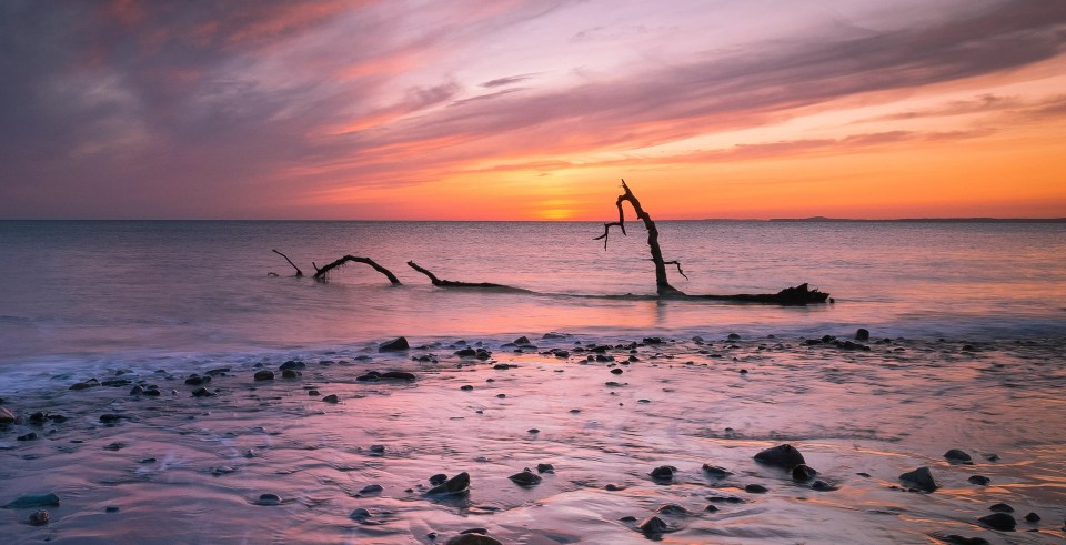 Sunset and driftwood on Sker Beach near Porthcawl, South Wales