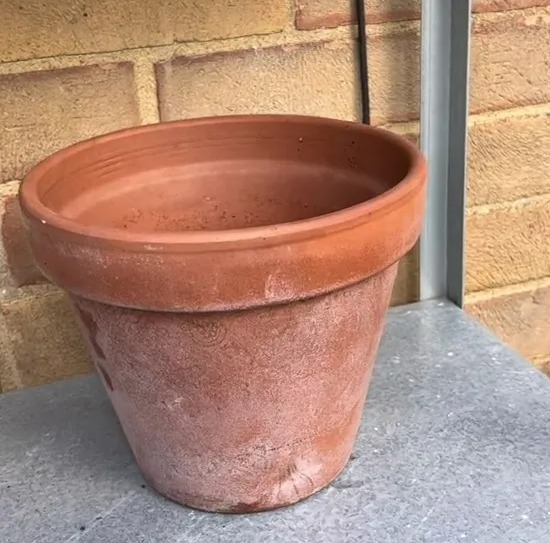 They also recommended using a Terracotta pot which you may already have in your garden