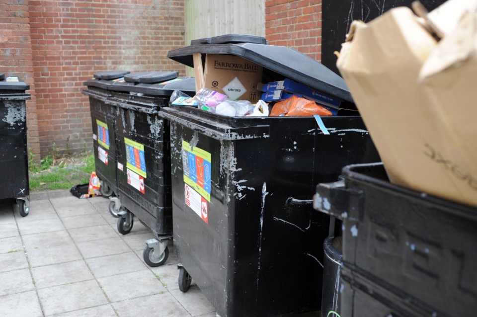 Overflowing public bins (stock)