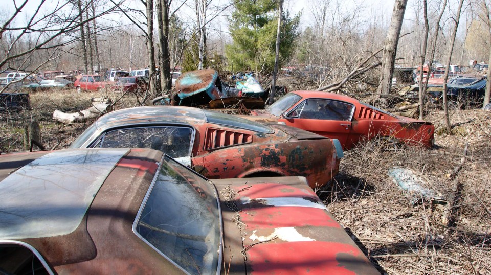 The junkyard contained tons of classic cars