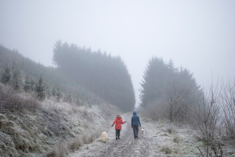 Dog walkers brave the freezing fog at Neilston Pad in East Renfrewshire on Wednesday