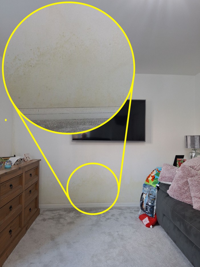 Damp covers the walls of the couple's living room