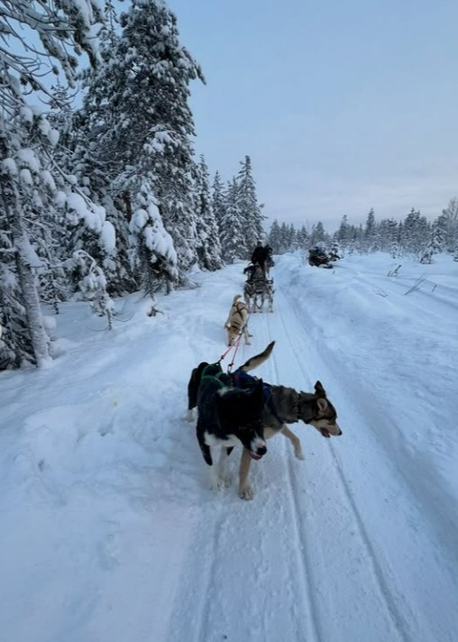 The WAG also got to enjoy the snowy landscape during a sledge ride