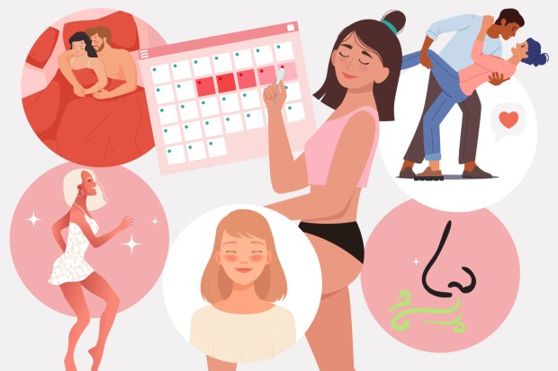 Illustration of various aspects of the menstrual cycle, including intimacy, tracking periods, exercise, mood changes, and odor.