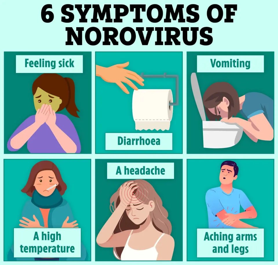 Illustration of six norovirus symptoms: feeling sick, diarrhea, vomiting, headache, high temperature, and aching arms and legs.