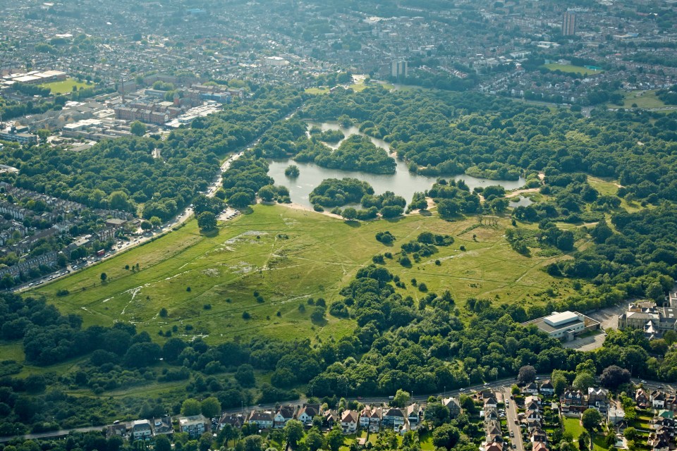 The couple were found dead in Epping Forest 35 years ago this week