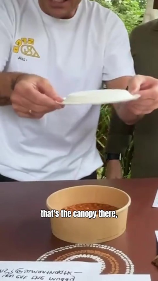 Ant used a bowl of beans and a paper plate to explain how the canopy is designed to keep stars dry despite the rain, but he admitted it can drip from the canopy,