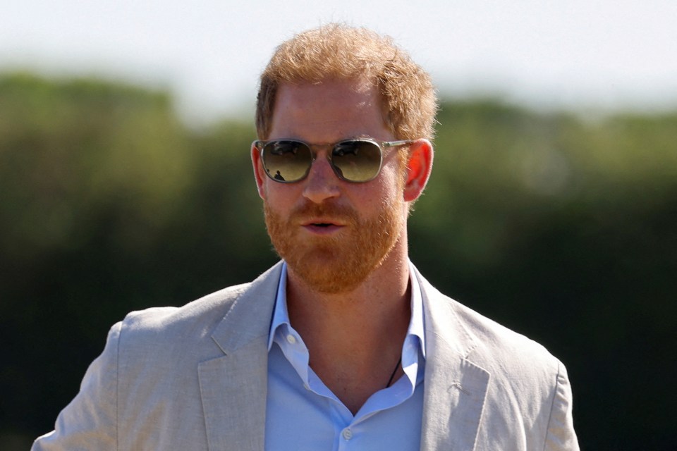 Despite being a polo player, Prince Harry only briefly appears in the five-part series