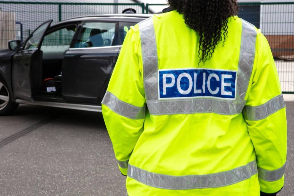 Back of a police officer in a high-visibility jacket at a roadside incident.