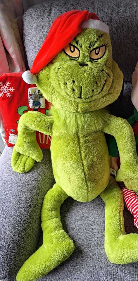 Aldi is selling a large Grinch teddy ahead of Christmas