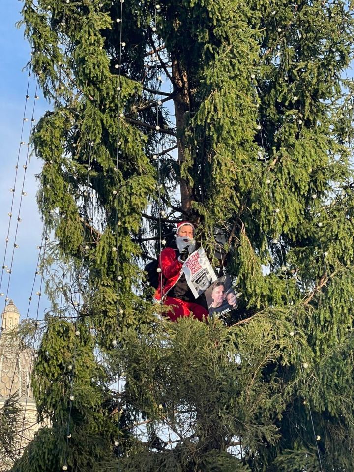 A protester dressed as Santa Claus has climbed the Christmas tree in Trafalgar Square today